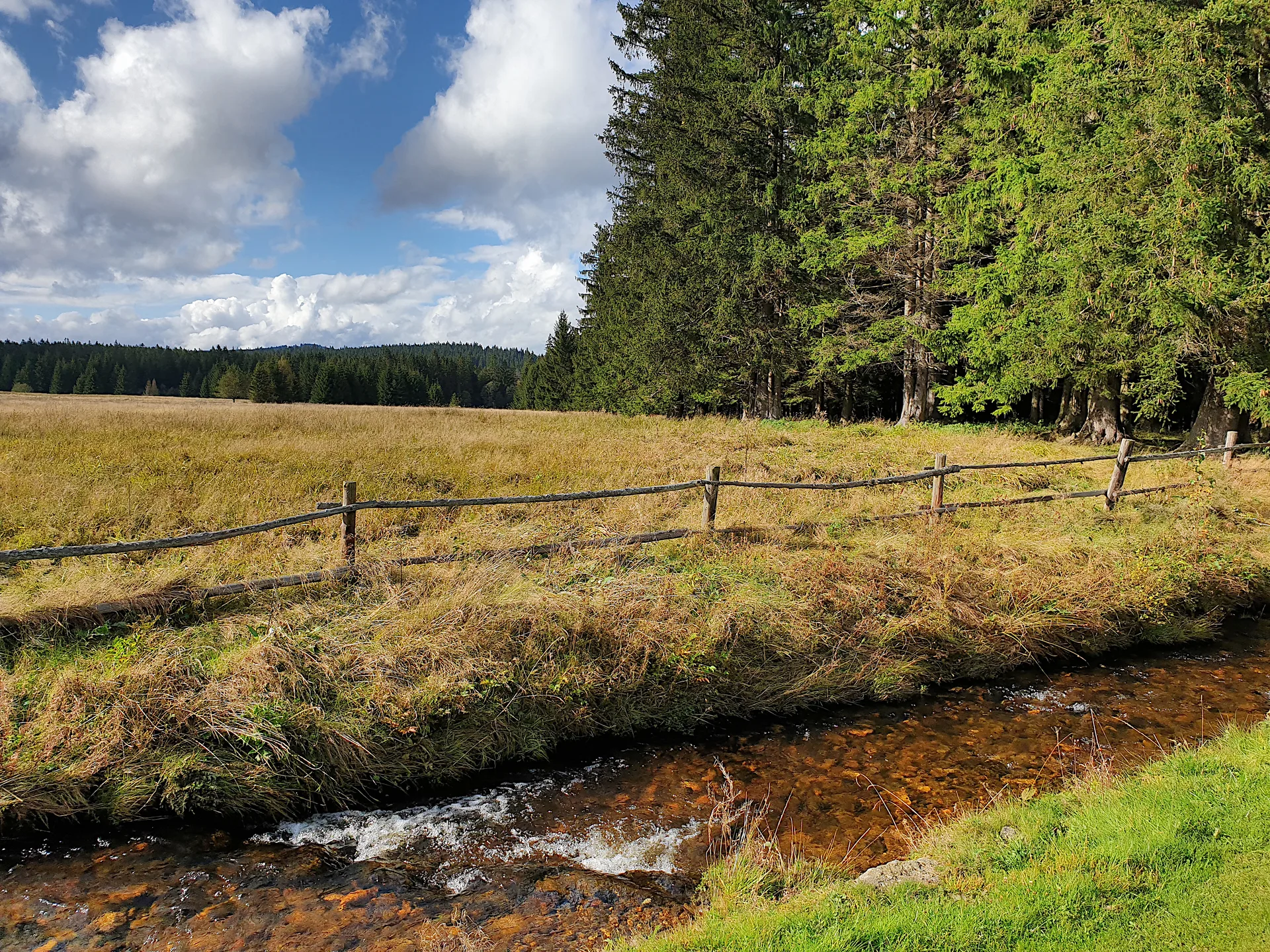 2024-09-24_15-26-08_CZ_Sumava_JHe_N9