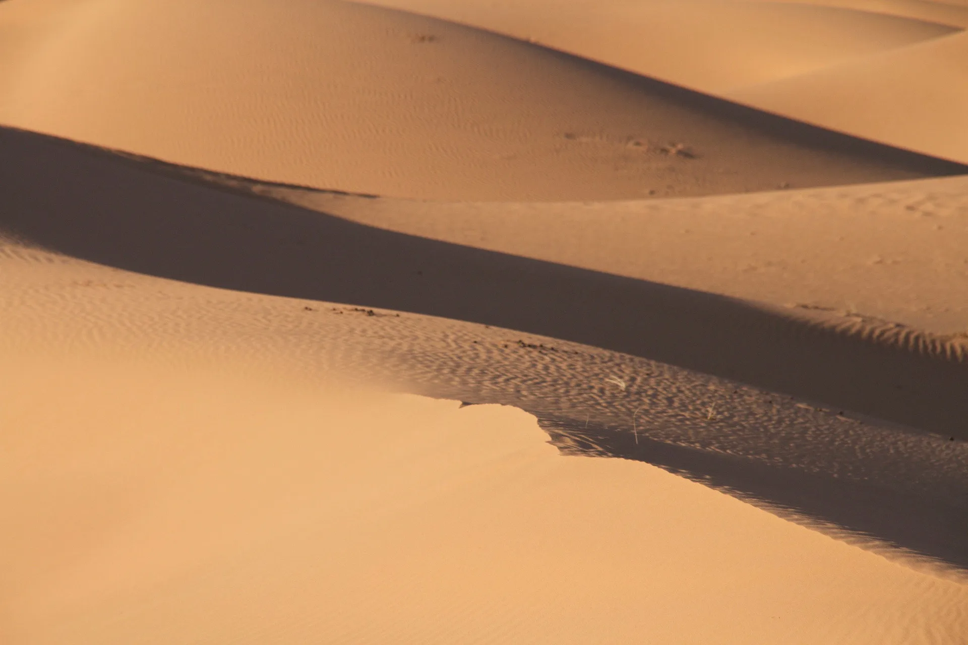 Merzouga, Sahara Desert, Morocco, 摩洛哥
