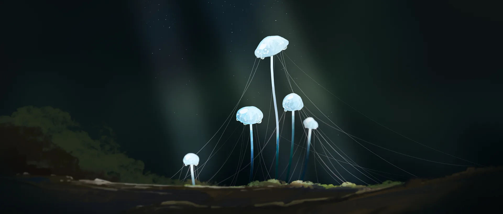 Gracile · digital art · artwork · ultrawide