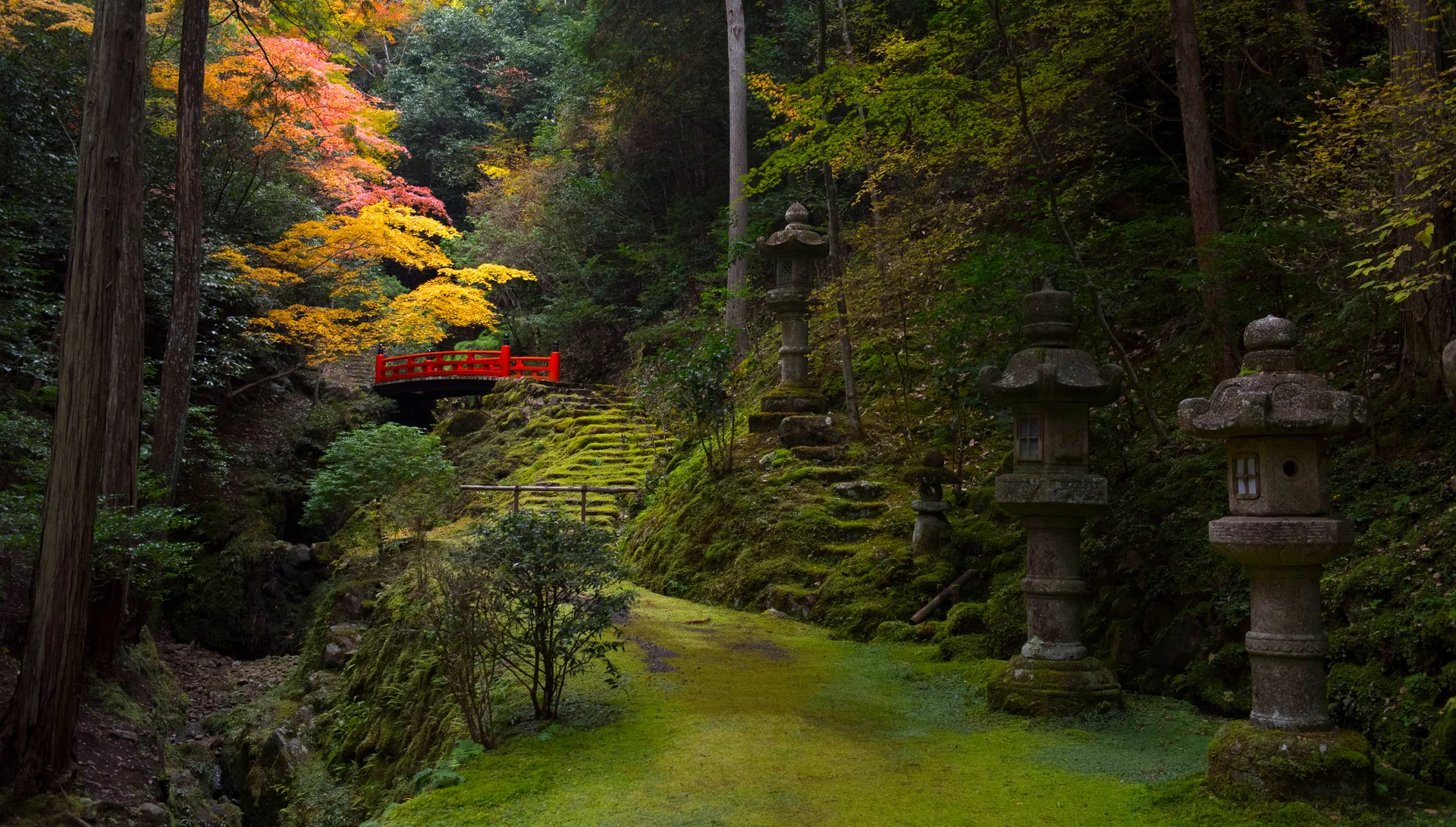 Patrick Vierthaler · Kyoto · Japan · Shinto