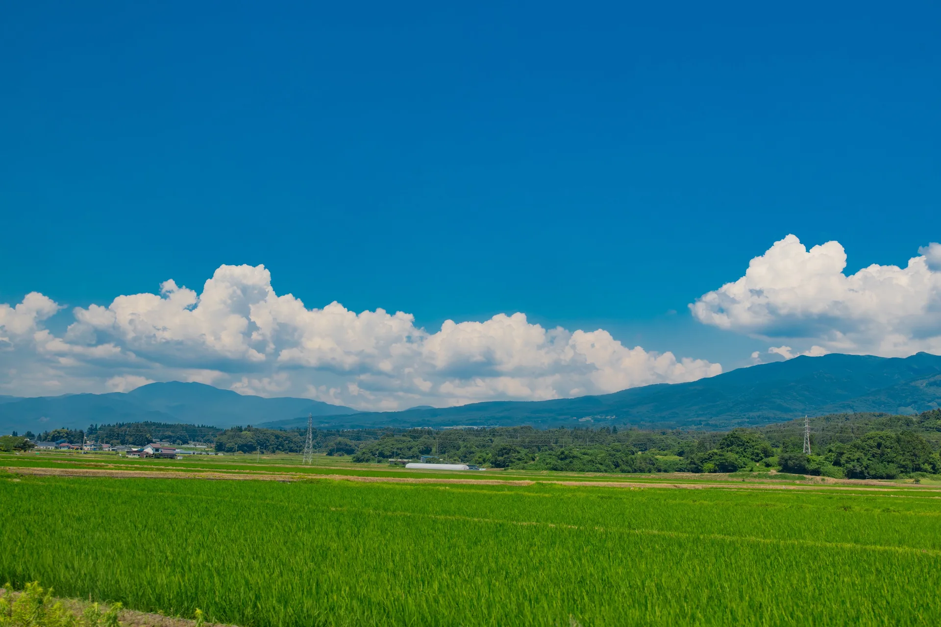 hitoritabikenkyu · photography · rural · landscape