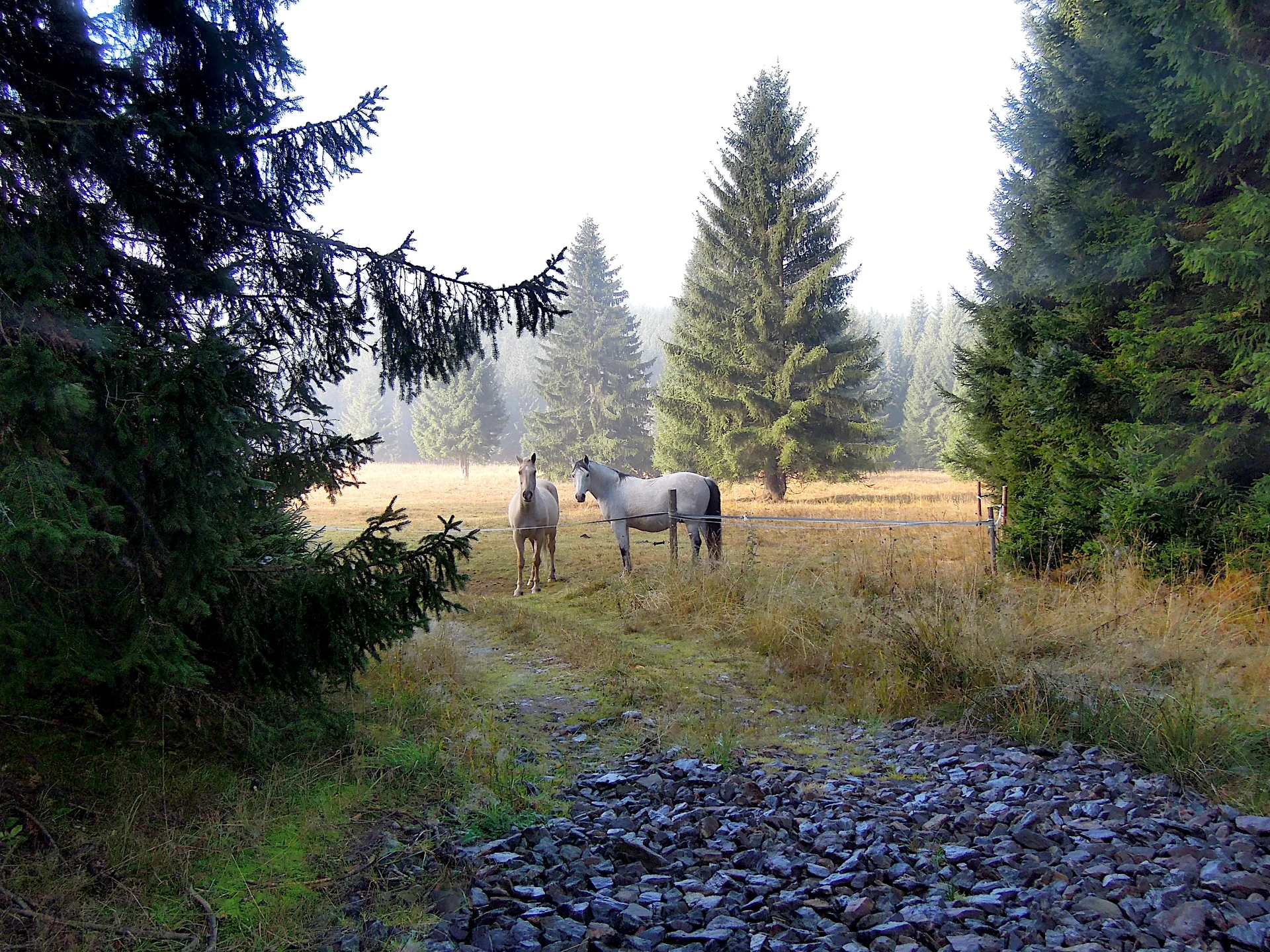 2013-10-08_08-57-20_Sumava_JH