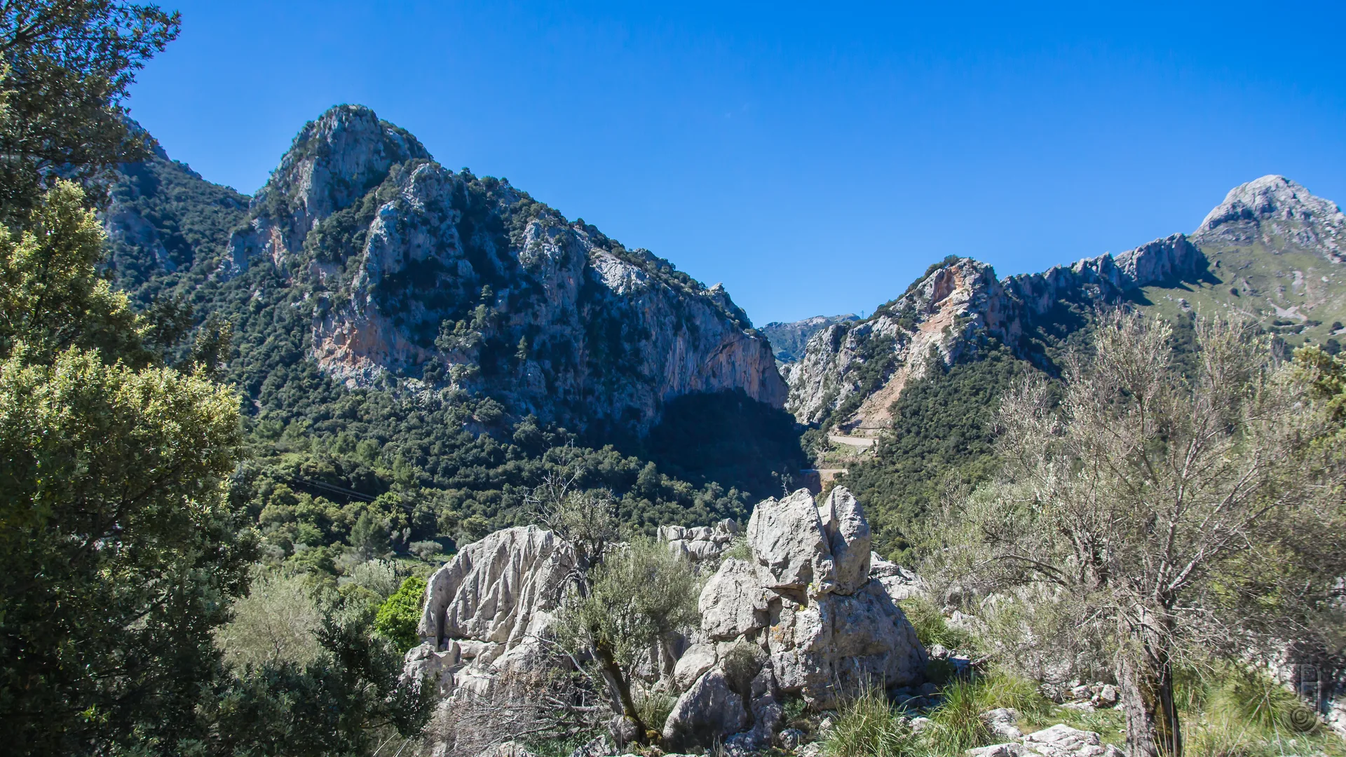 TIB Línia 354 Serra de Tramuntana bus trip (Mallorca, Spain).--35