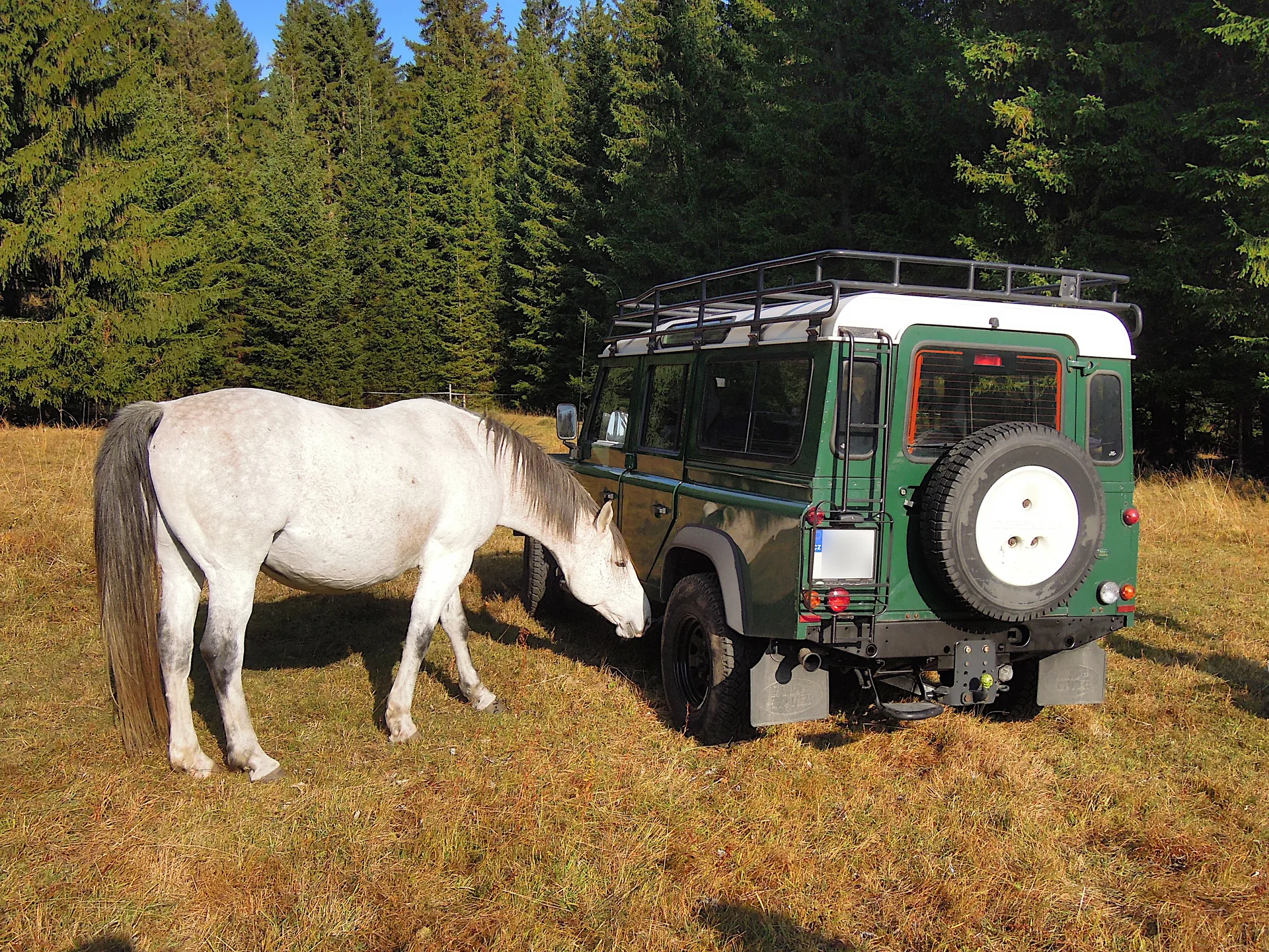 2013-10-08_15-27-51_Sumava_JH