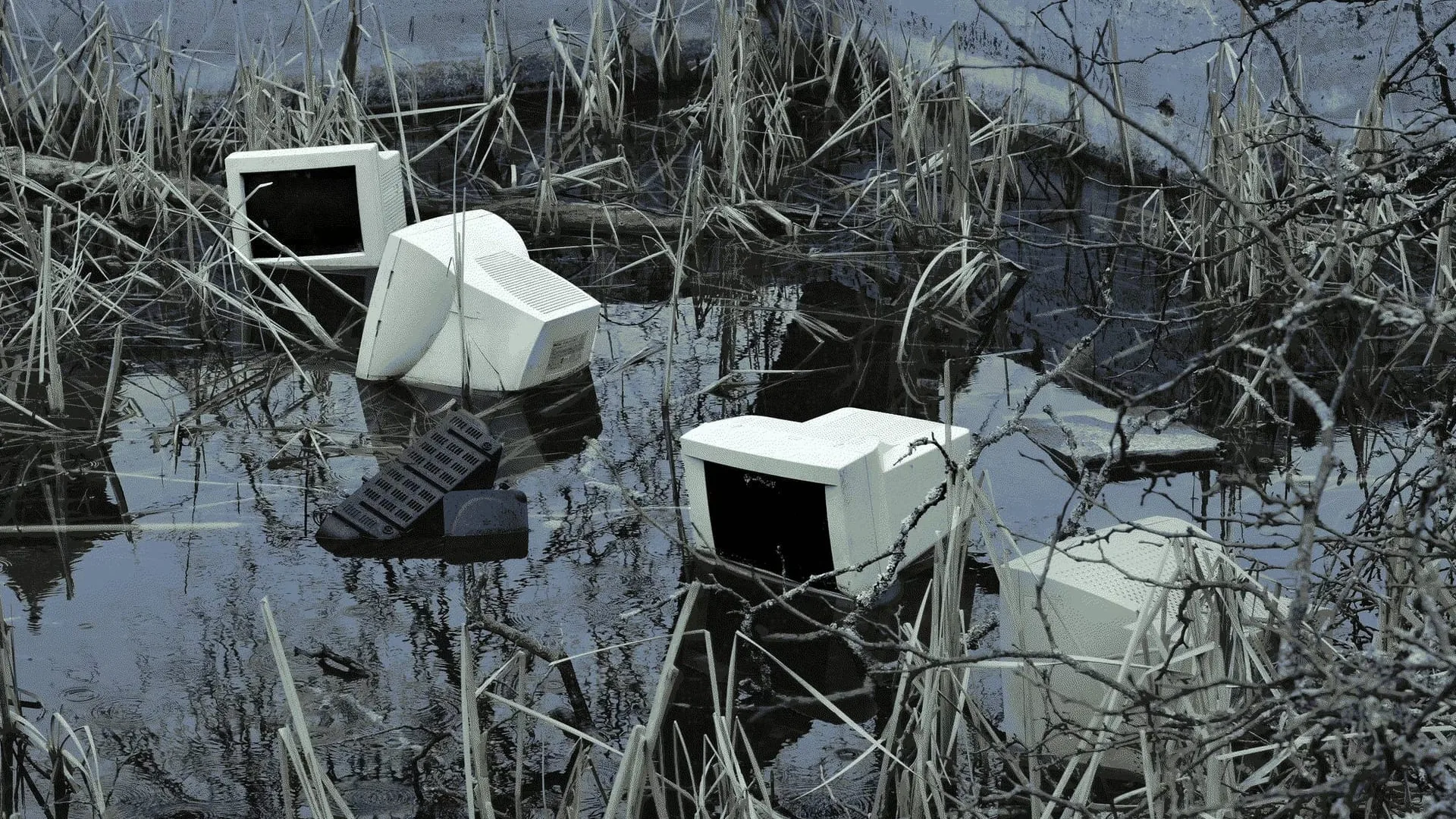 Nam June Paik · monitor · swamp · CRT Monitor
