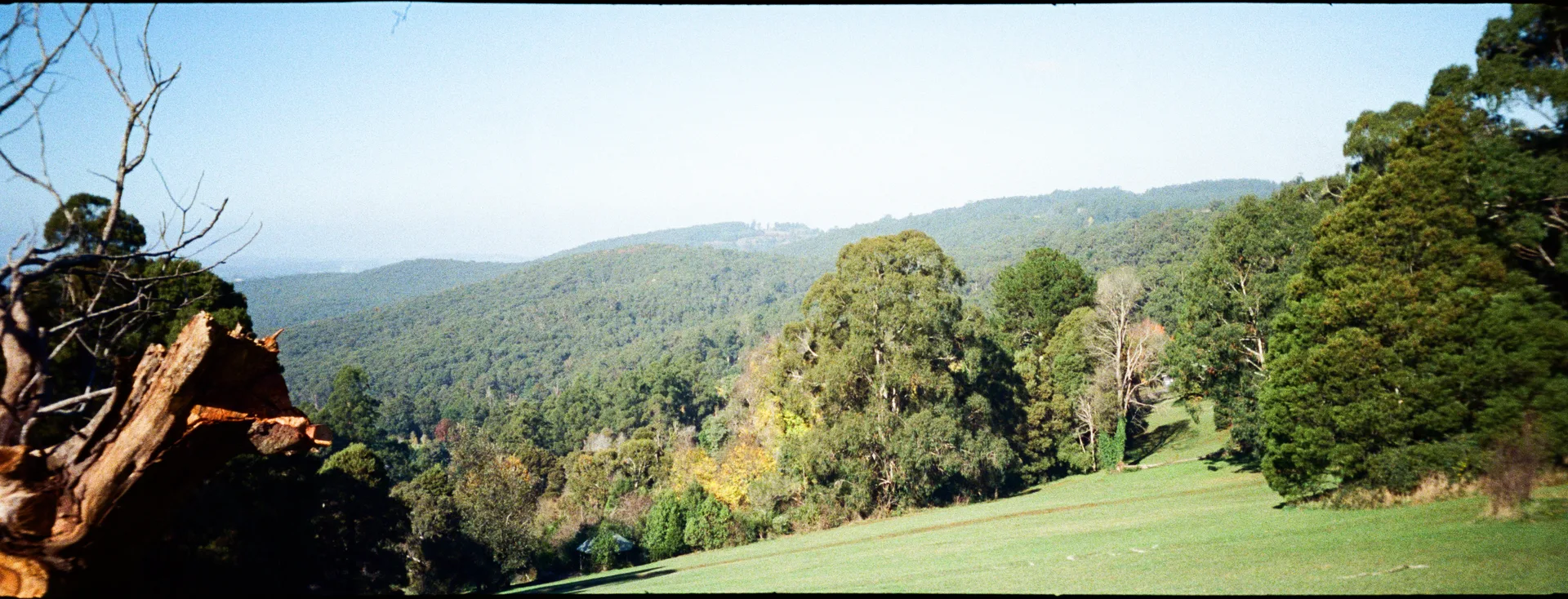 Dandenong Ranges National Park