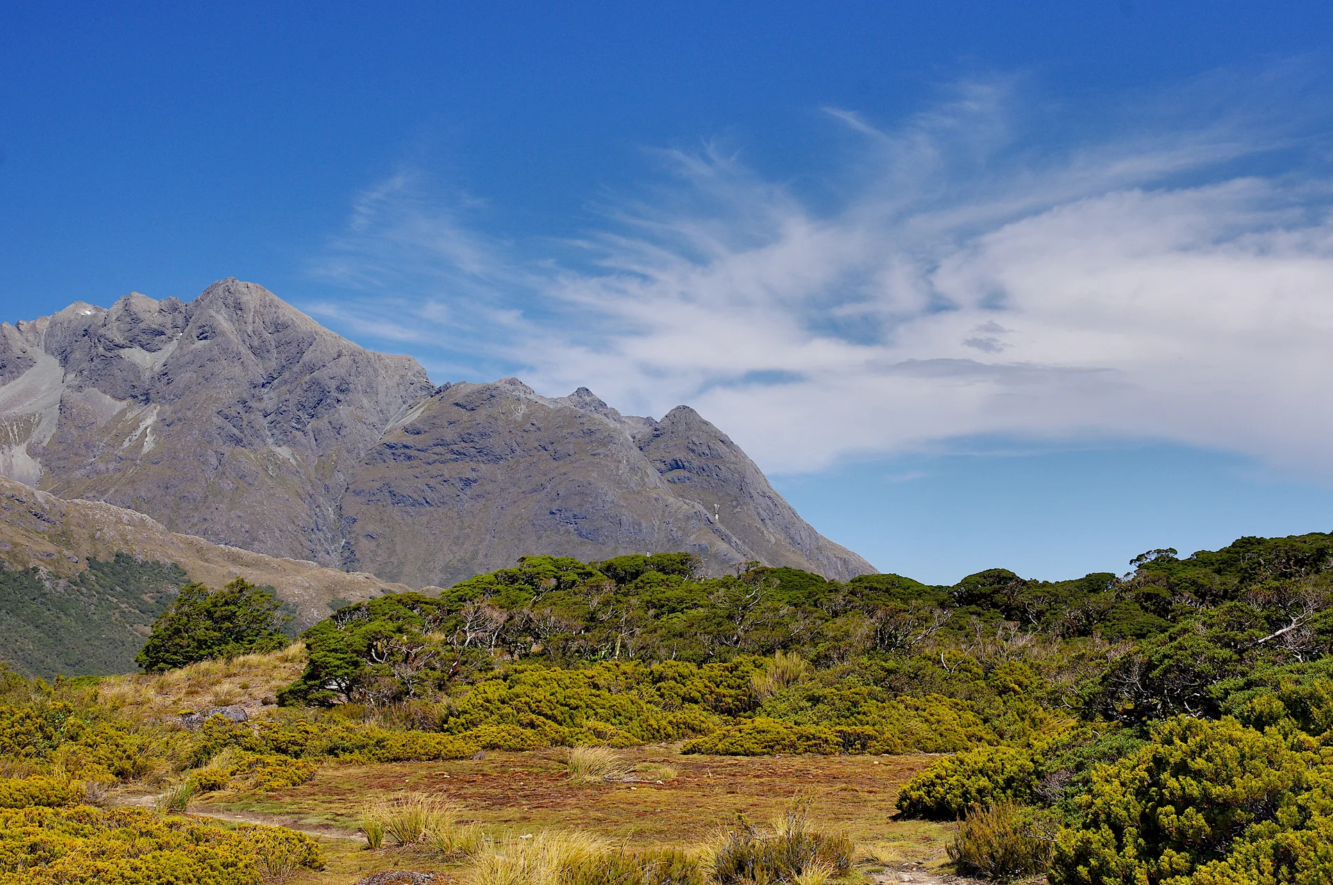 2014-02-03_16-12-07_NZ_Key_Summit_JH