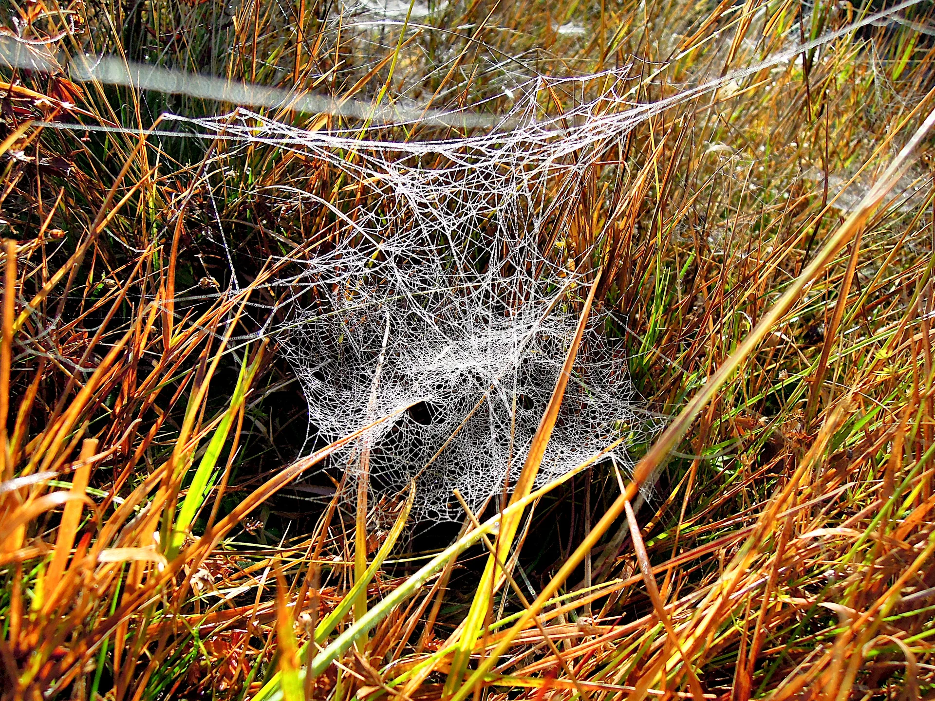 2013-10-08_09-50-00_Sumava_JH