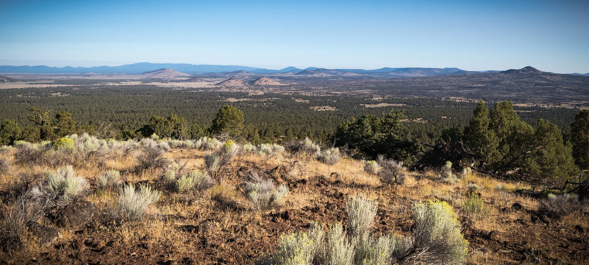 Devils Garden and East Lava Field Wilderness Study Area from Green Mountain Lookout