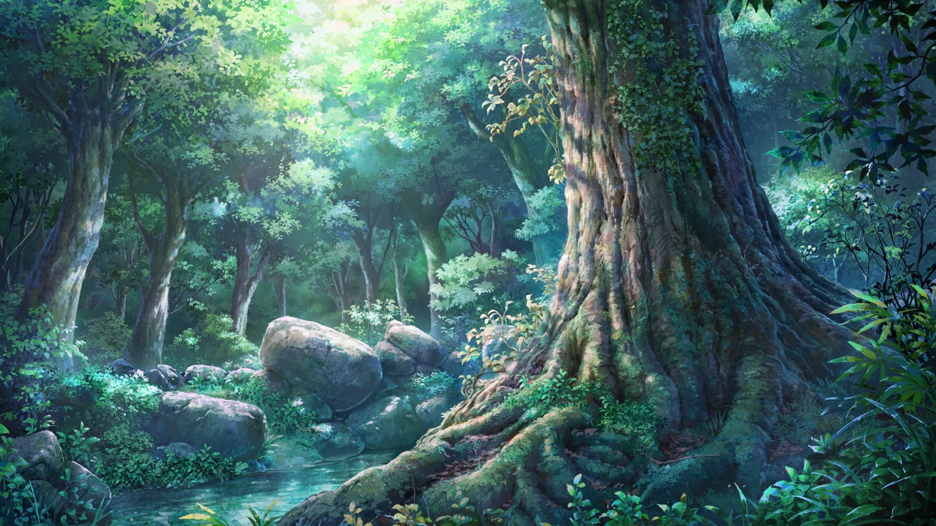 scenery · forest · sunlight · trees