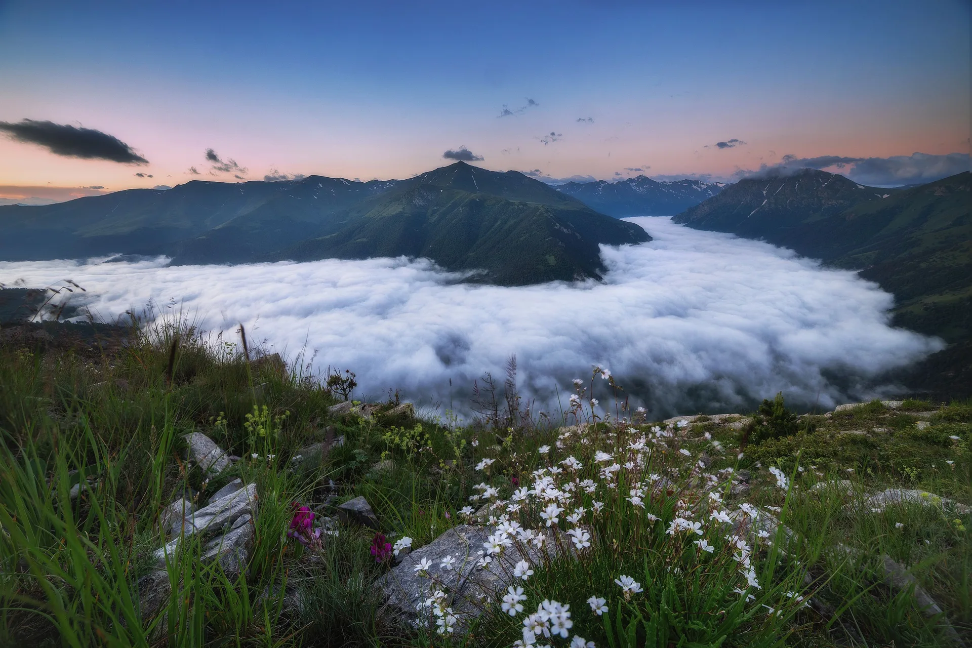 Vyacheslav Lozhkin · landscape · flowers · mountains