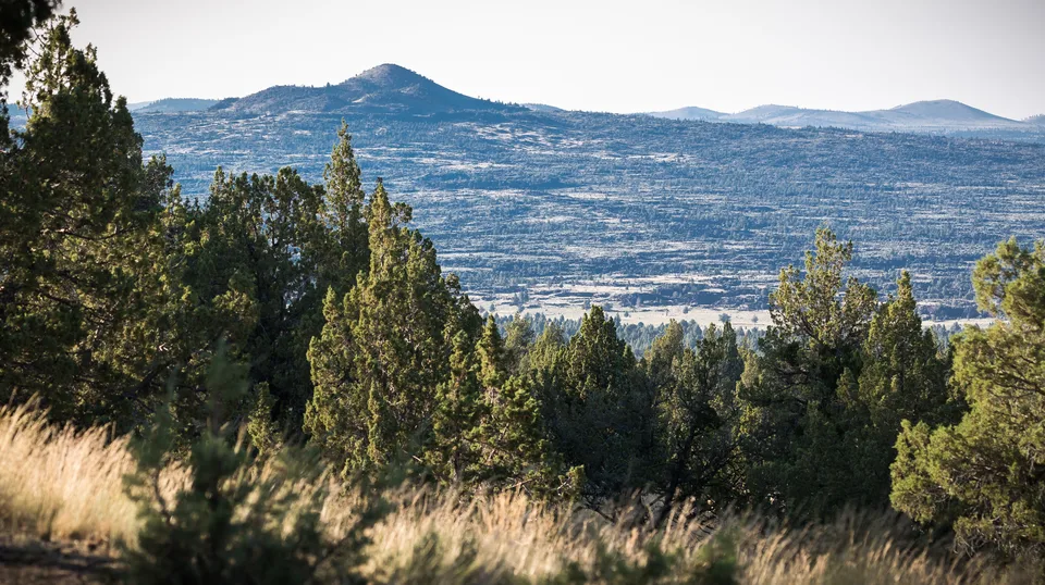 East Lava Field Wilderness Study Area from Green Mountain Campground
