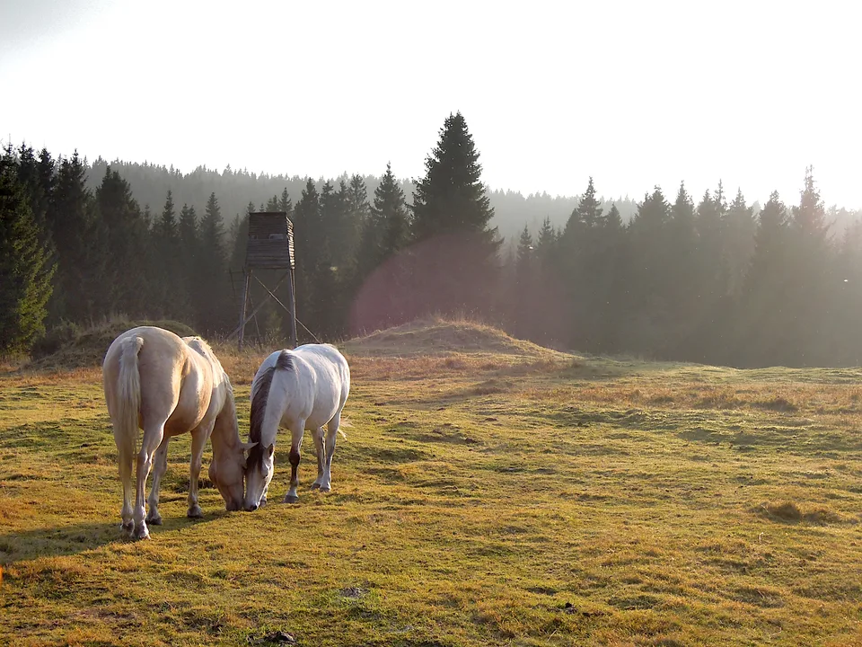 2013-10-08_16-36-20_Sumava_JH