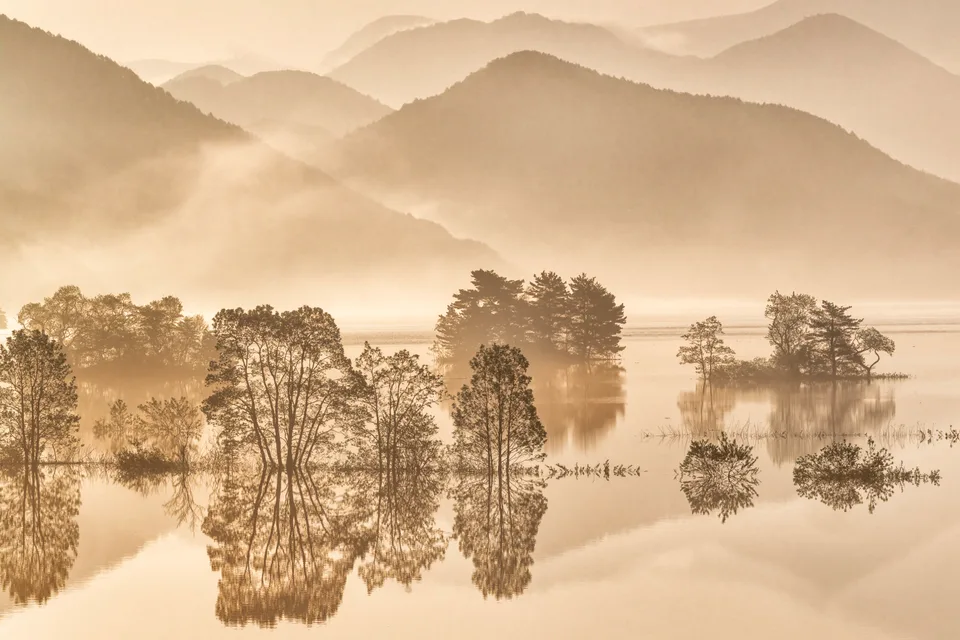 nature · photography · Nikon Corporation · morning