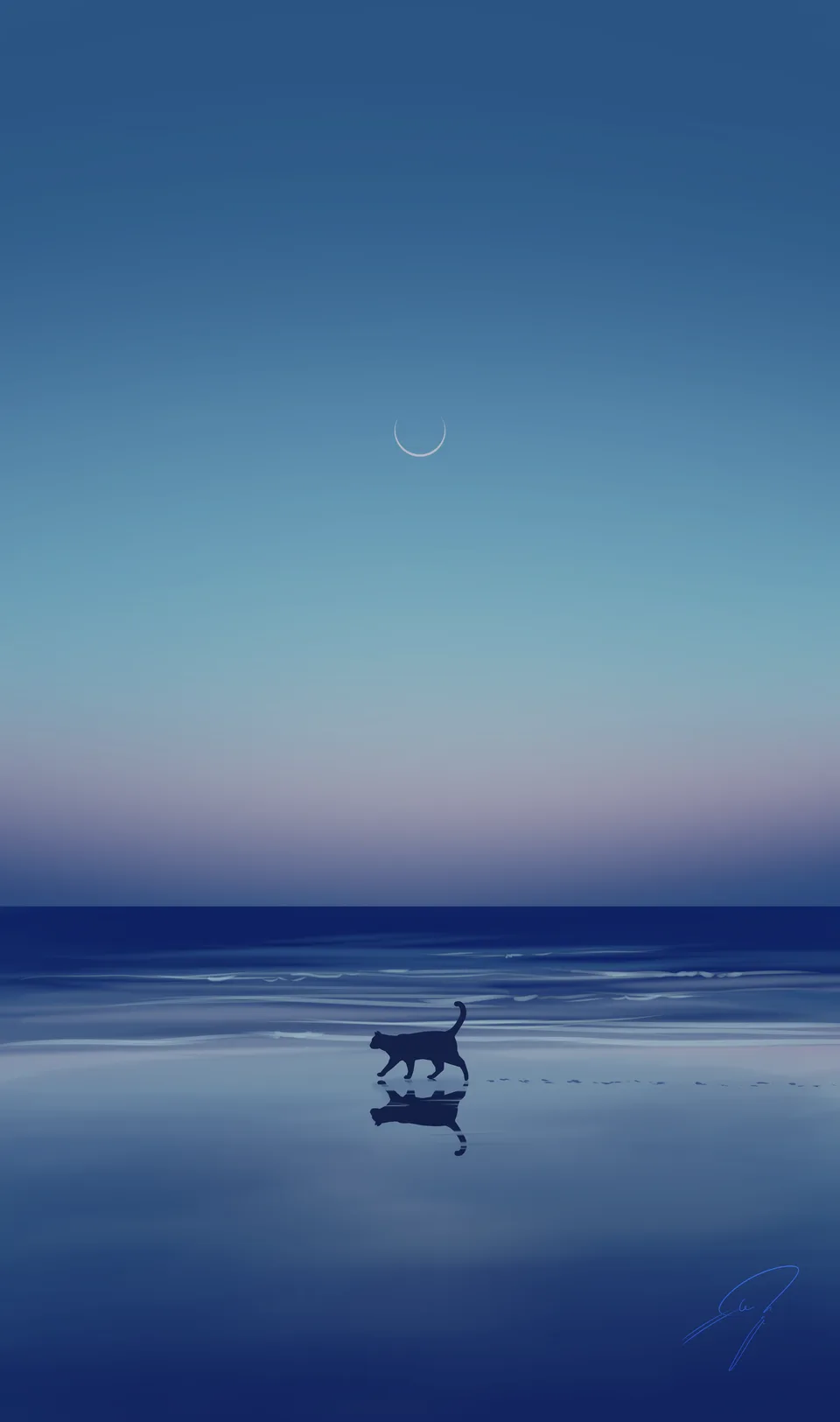 cats · beach · Moon · portrait display