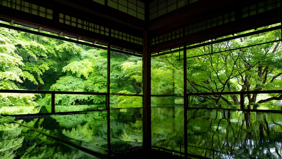 Hisanori · Rurikoin Temple · Kyoto · Japan
