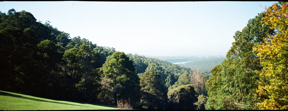 Dandenong Ranges National Park