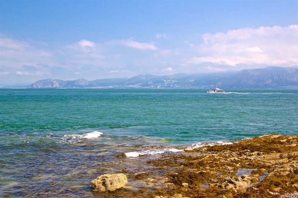 Open Water