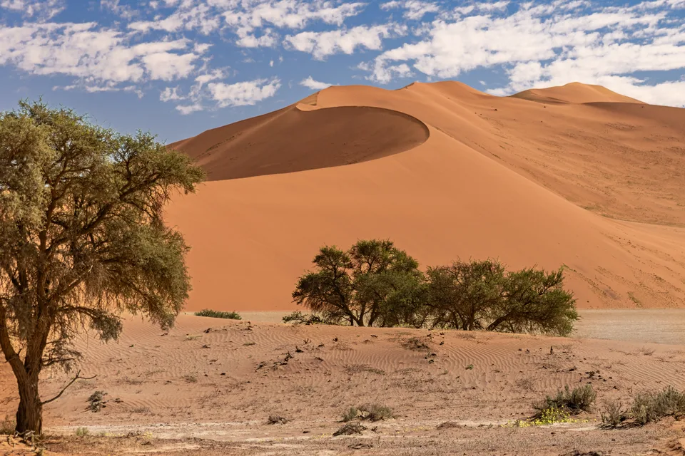 Namib-Naukluft National Park