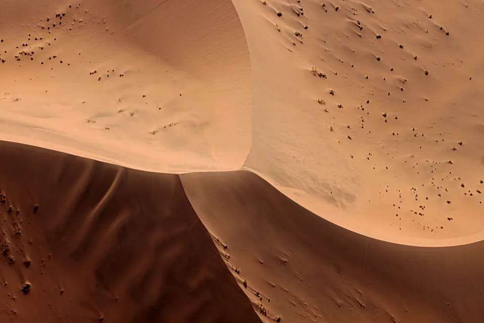 Sand Dune: Namib Desert