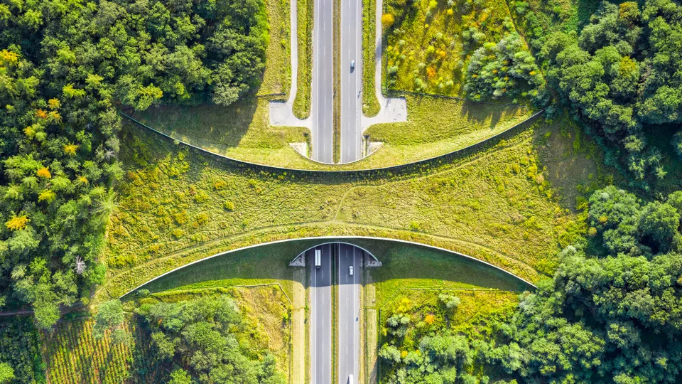 BBSFerrari · Zakrzów · Poland · nature