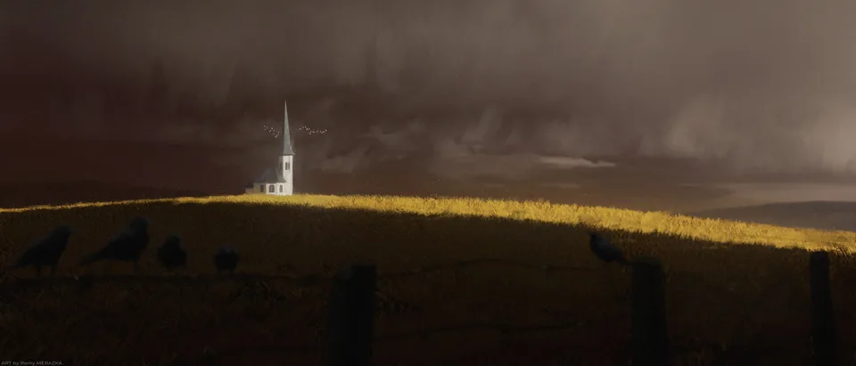 Ramy Merazka · overcast · crow · field