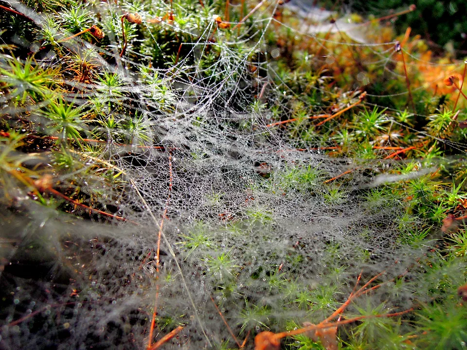 2013-10-08_09-55-55_Sumava_JH