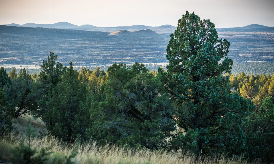 East Lava Field Wilderness Study Area from Green Mountain Campground