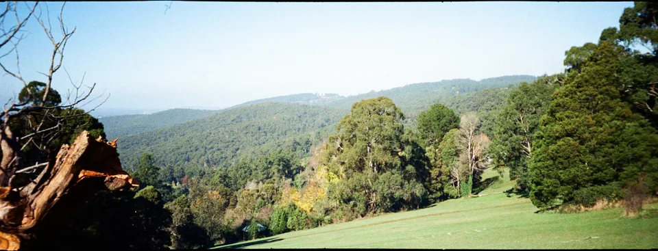 Dandenong Ranges National Park
