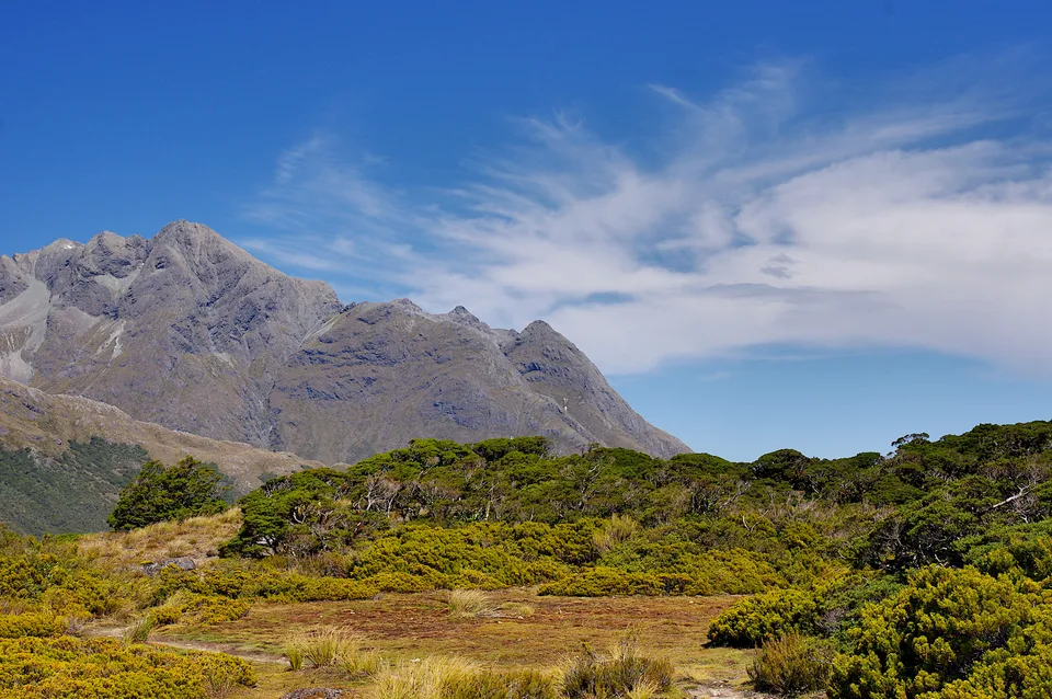 2014-02-03_16-12-07_NZ_Key_Summit_JH