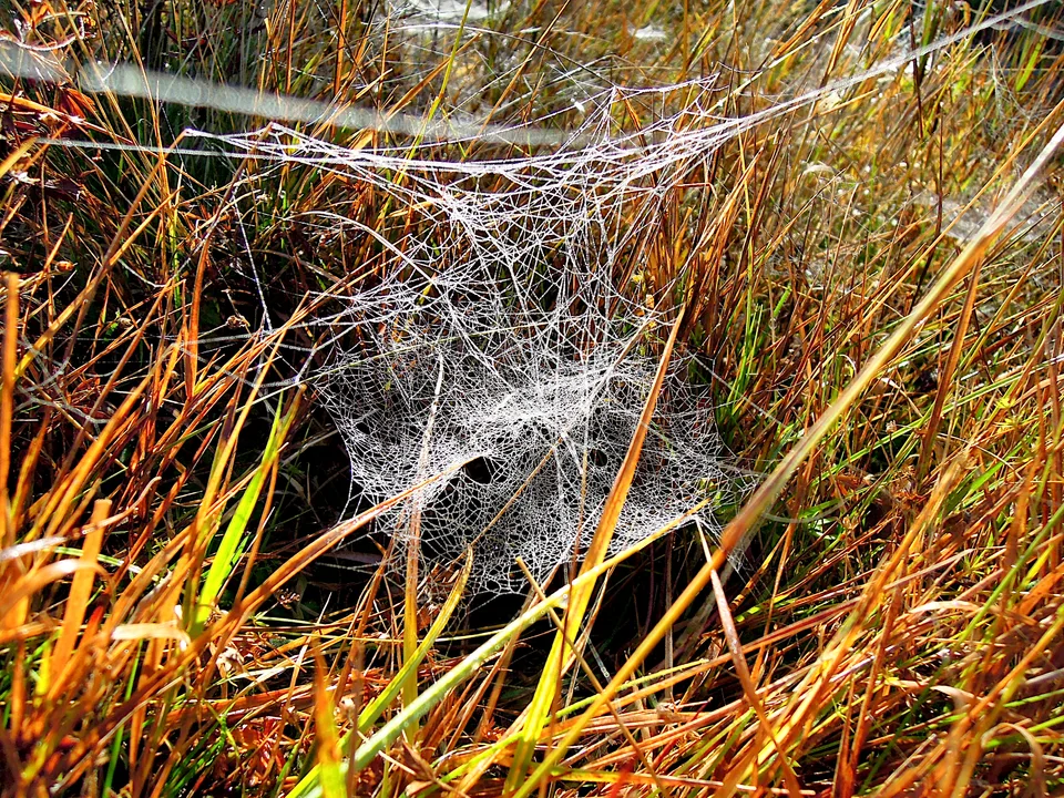 2013-10-08_09-50-00_Sumava_JH
