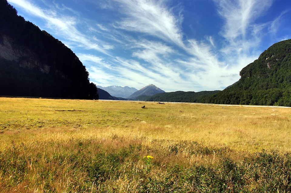 2014-02-02_10-42-42_NZ_Glenorchy-Dart_River_JH