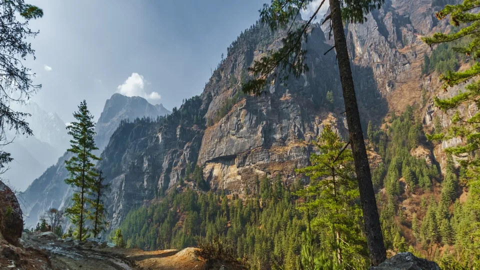 Beauty In Nature