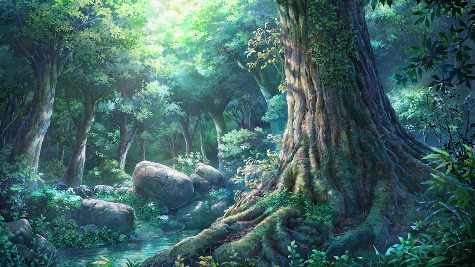 scenery · forest · sunlight · trees