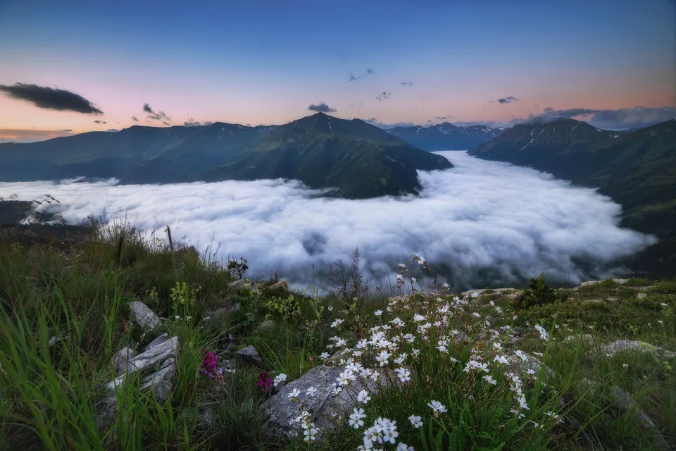 Vyacheslav Lozhkin · landscape · flowers · mountains