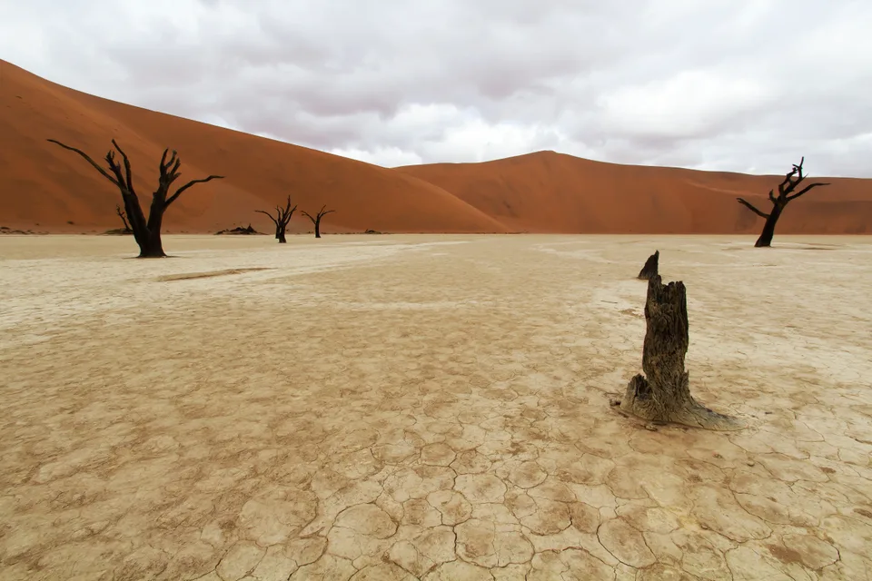 Deadvlei, Namibia.